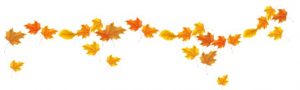 Foot leaves